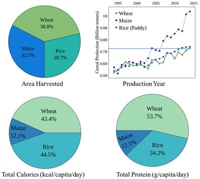 Abiotic Stress Signaling in Wheat – An Inclusive Overview of Hormonal Interactions During Abiotic Stress Responses in Wheat